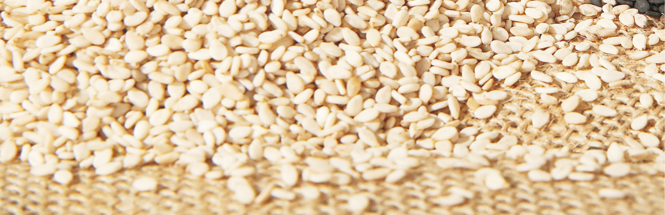 Sesame